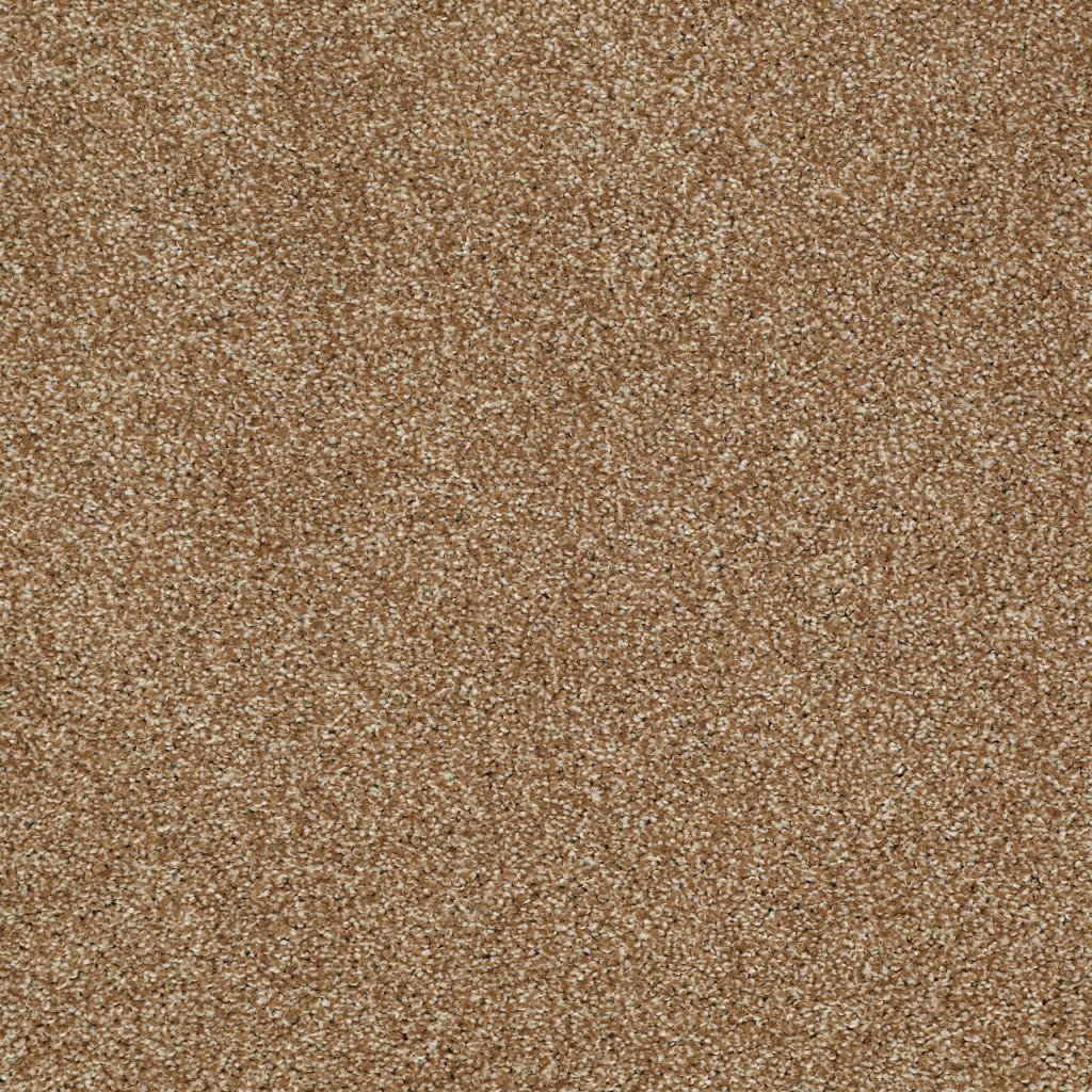Shaw Floors Sun Drenched - Leather Bound