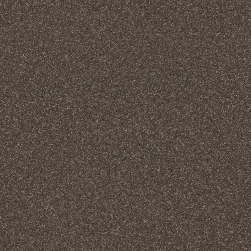 Shaw Floors Hard At Play III 12' - Urban Rustic