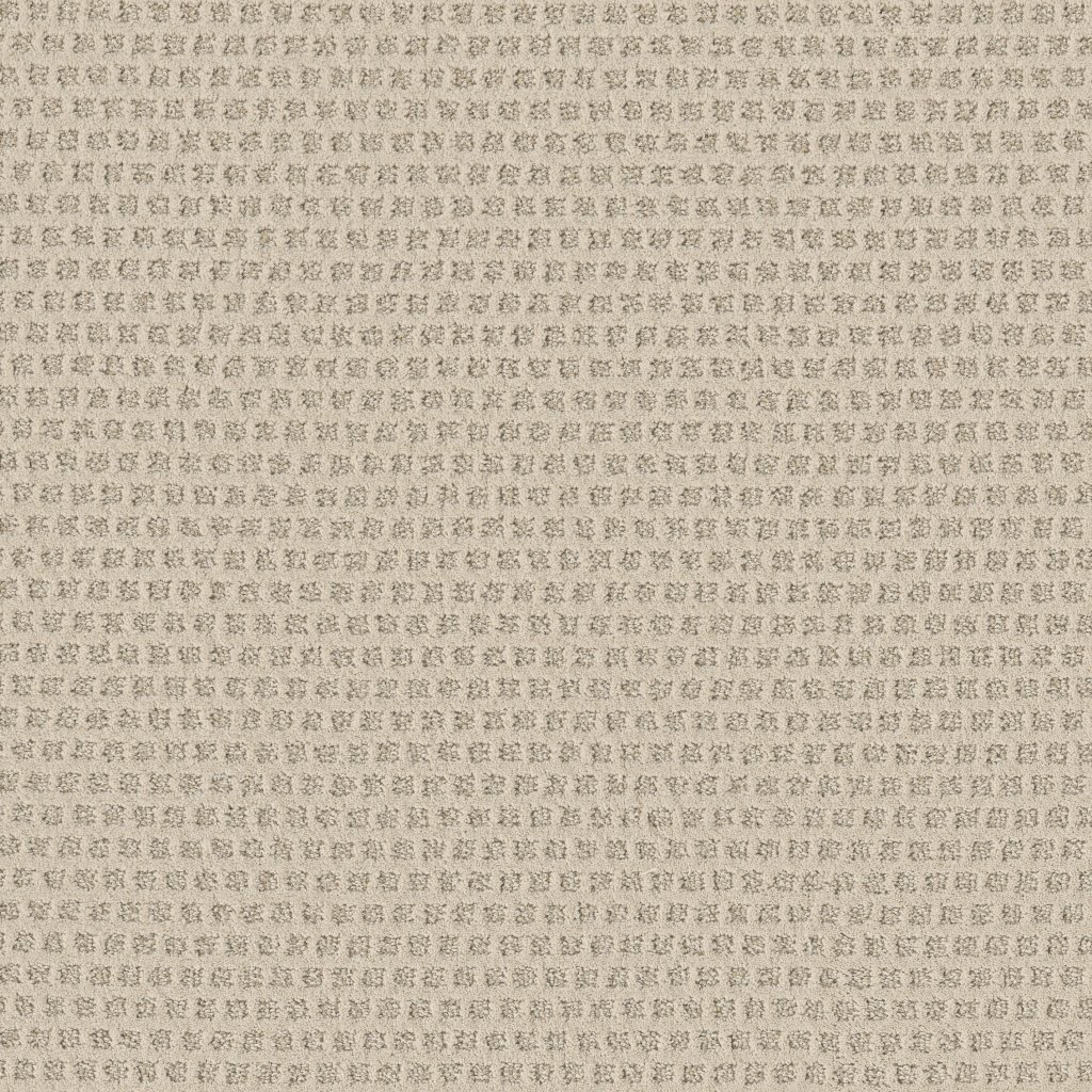 Shaw Floors The Arts - Mohair