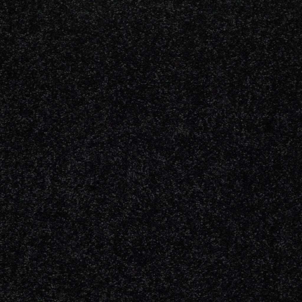 Shaw Floors Sun Valley 12 - Coal Black