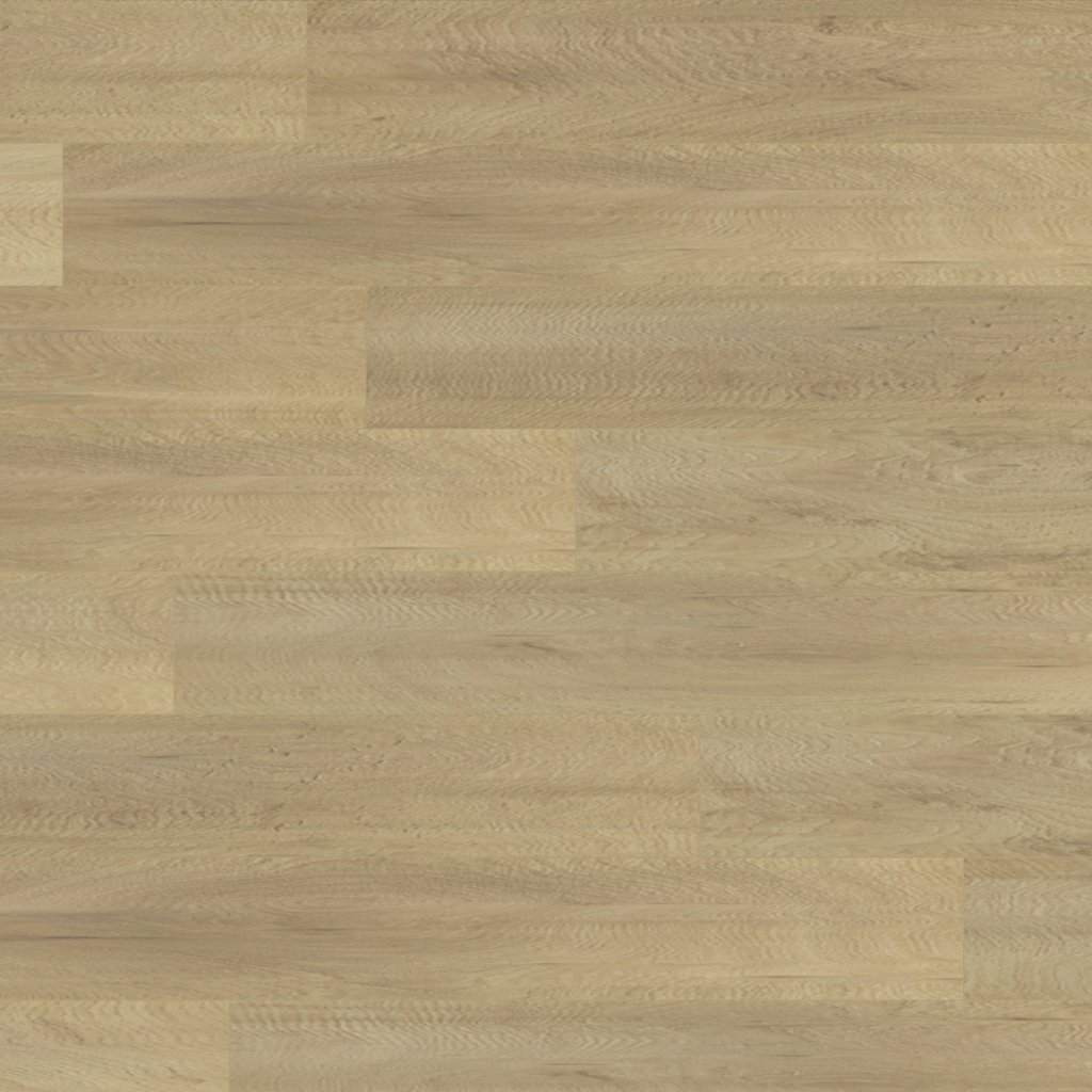 Mohawk Ellenwood - Dusty Trail Oak