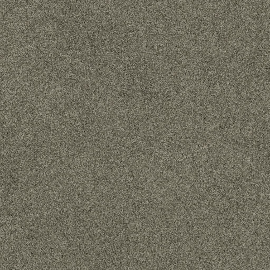 Shaw Floors Tip Of The Hat - Pewter