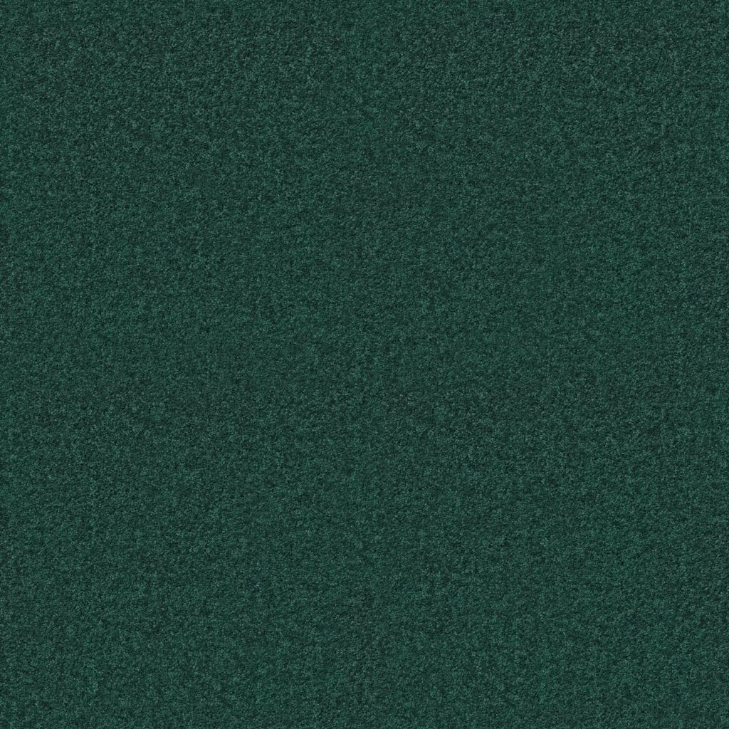 Shaw Floors Dyersburg II 15' - Polo