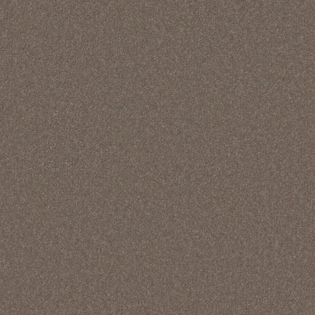 Shaw Floors Well Played II 15' - Mocha Frost