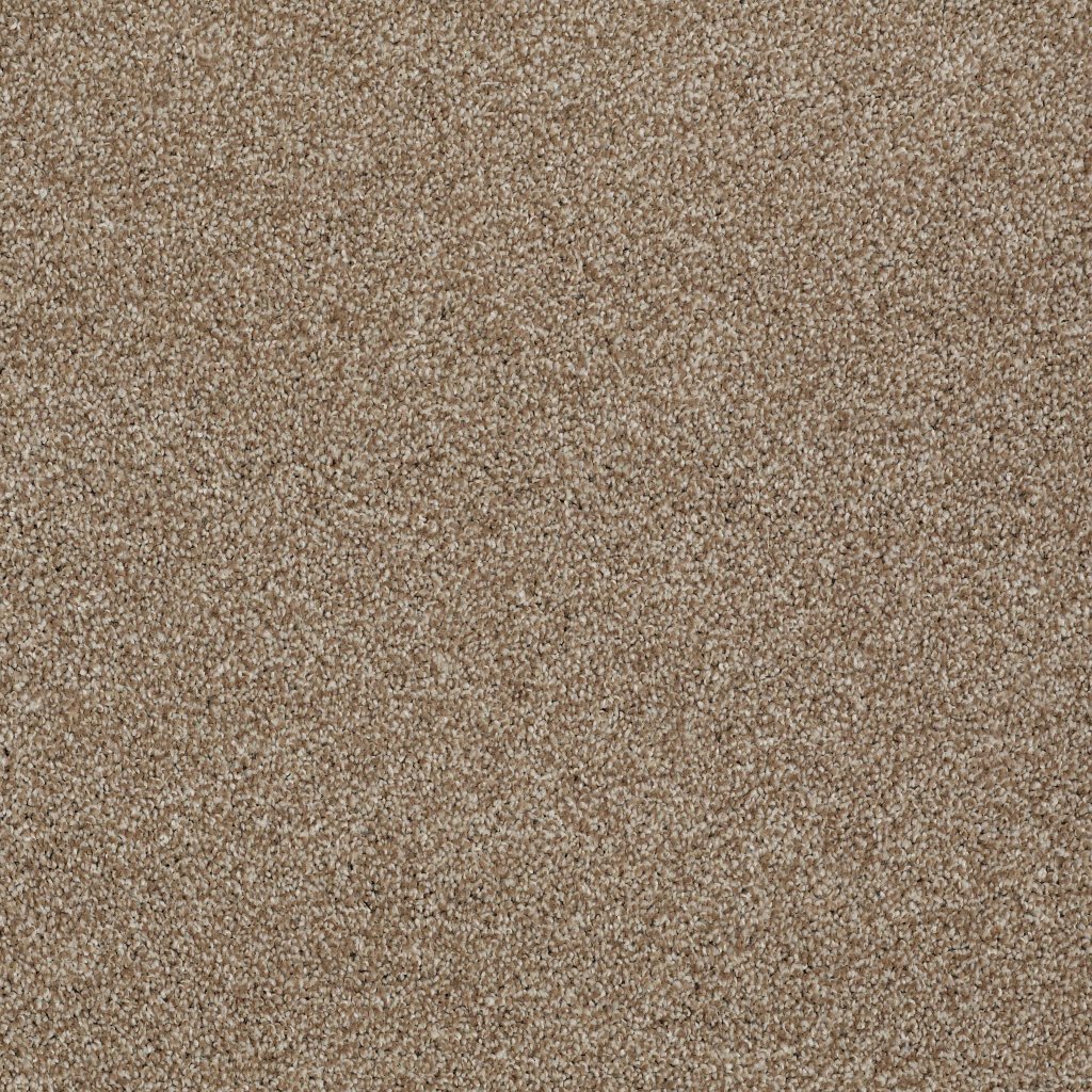 Shaw Floors Always Ready II - Summerville