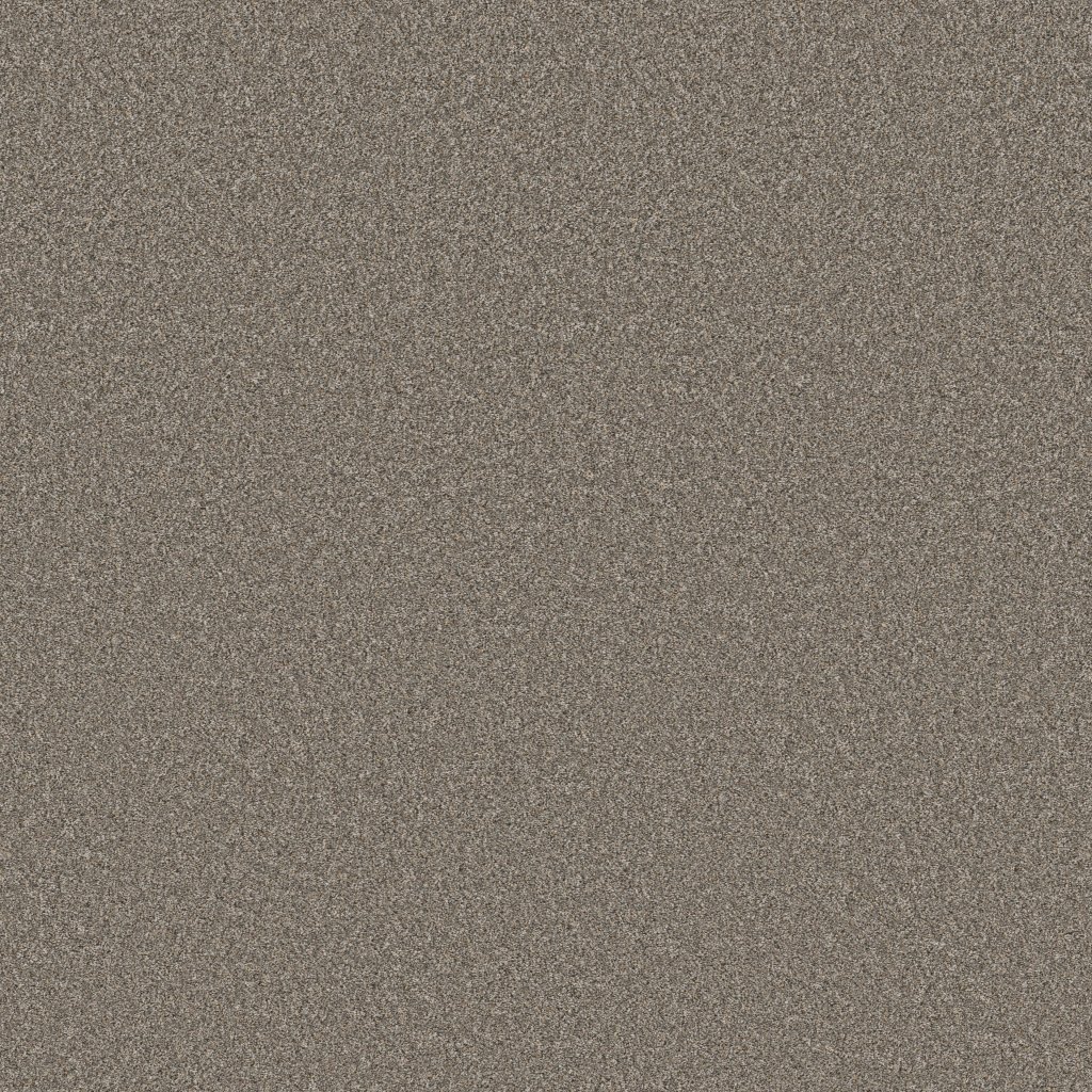 Shaw Floors Blended Touch II - Houndstooth
