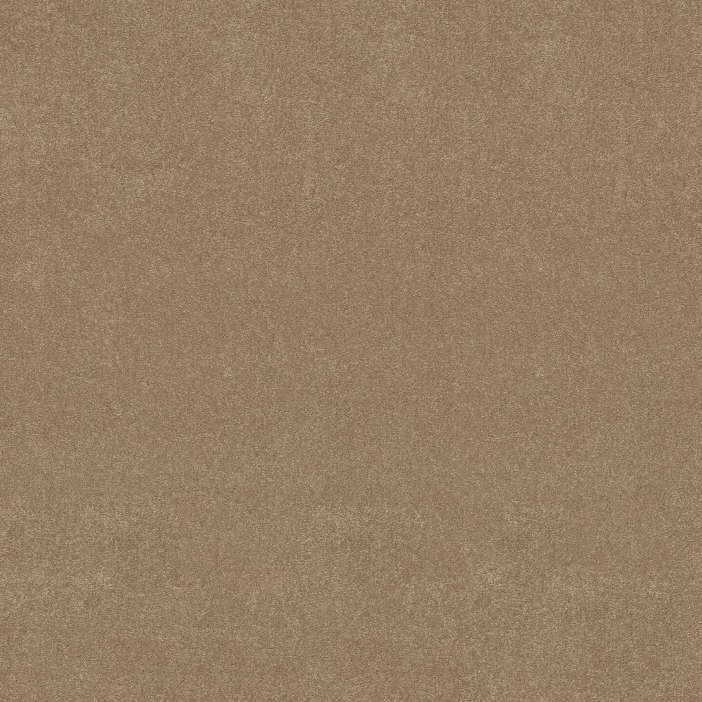 Shaw Floors Easy Spirit III 15' - Stone House