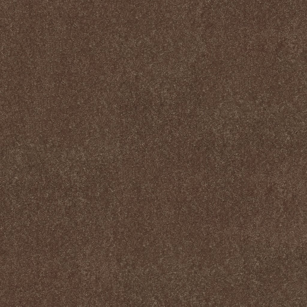 Shaw Floors Newbern Classic 15' - Winter Wheat