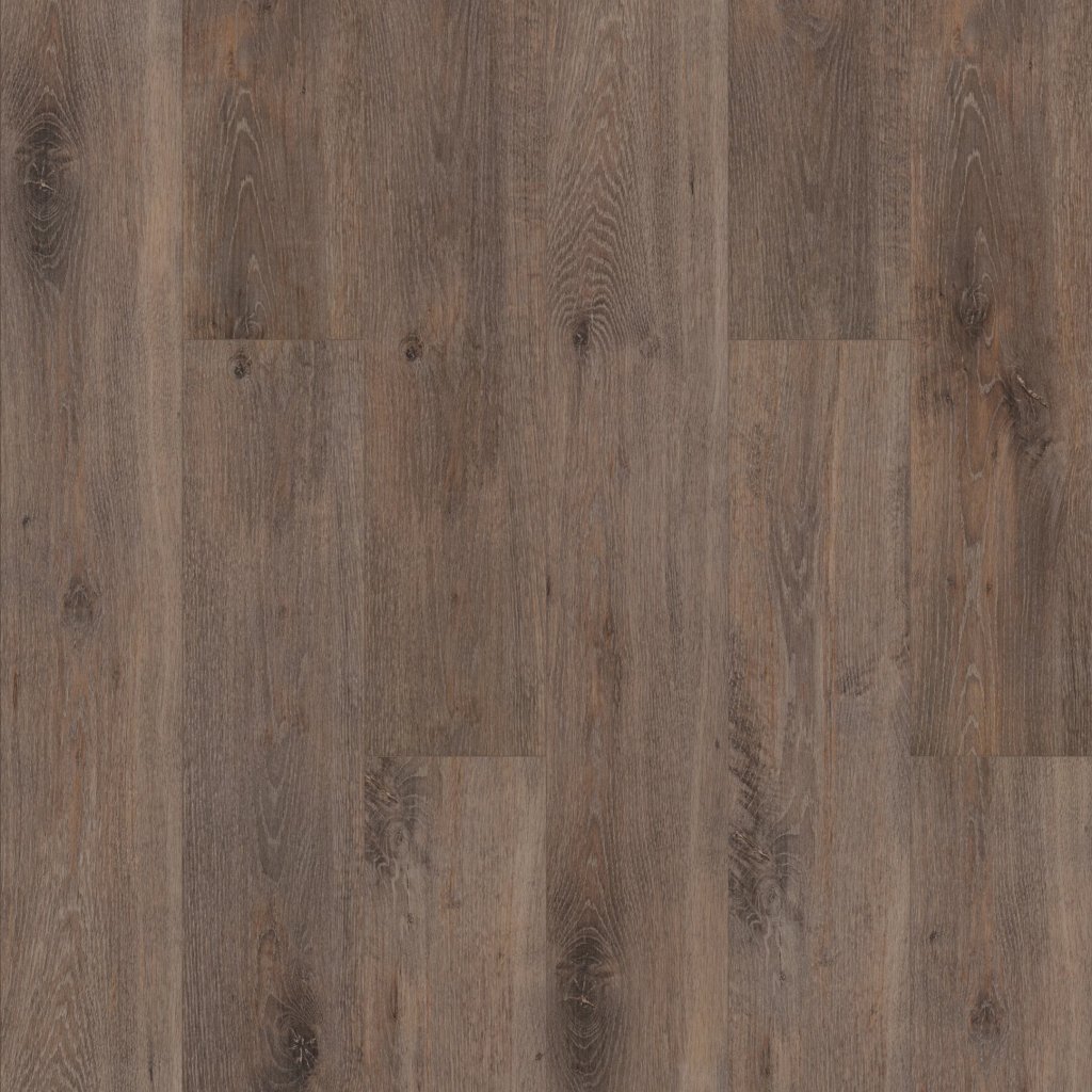 Shaw Floors Allegiance + Acc - Chapman