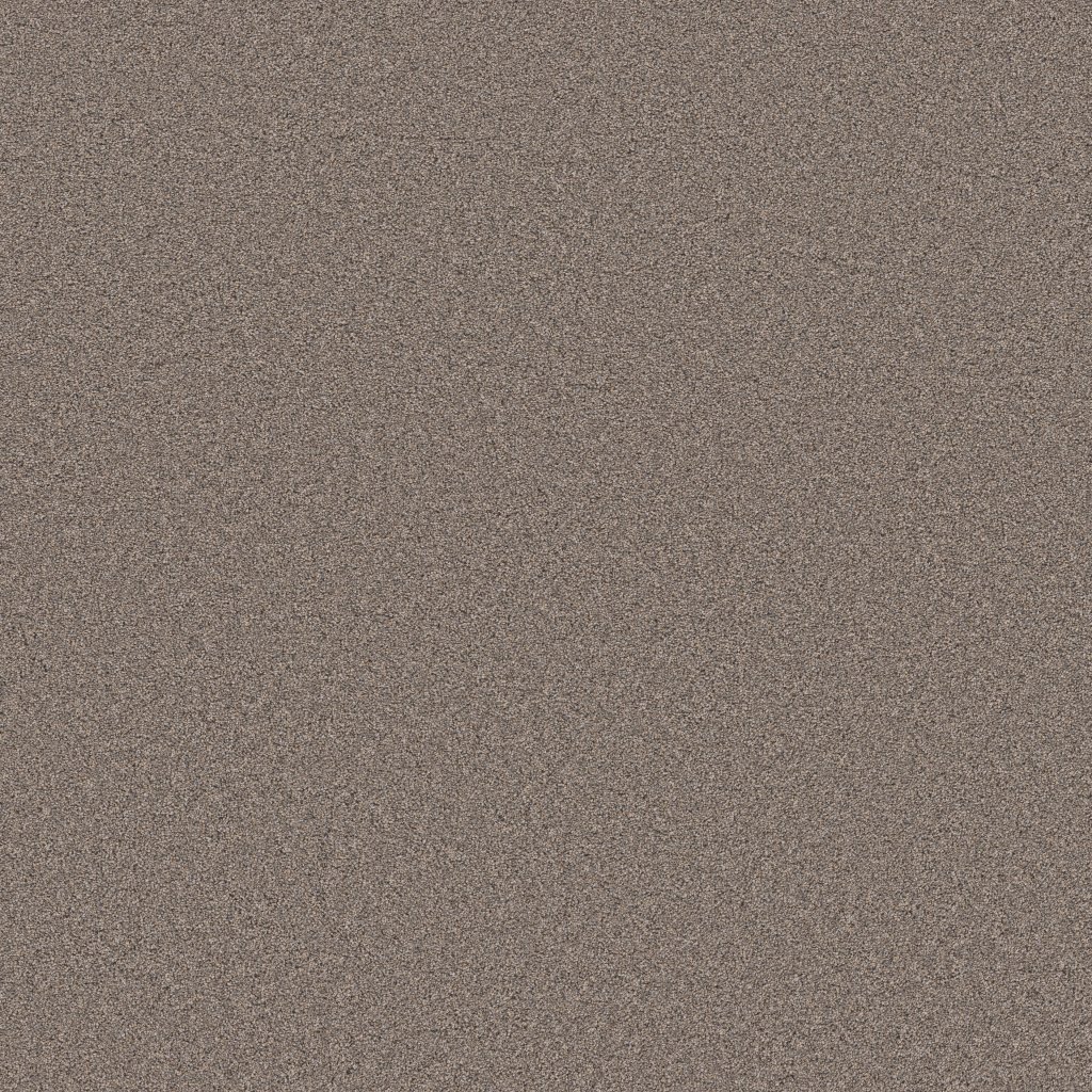 Shaw Floors Blended Touch II - Newstar