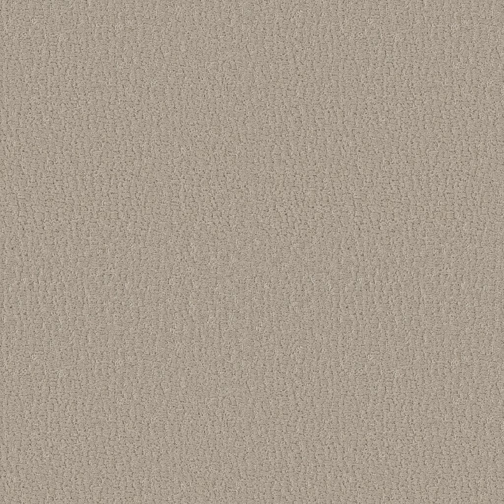 Shaw Floors Studio Set - Sandstone