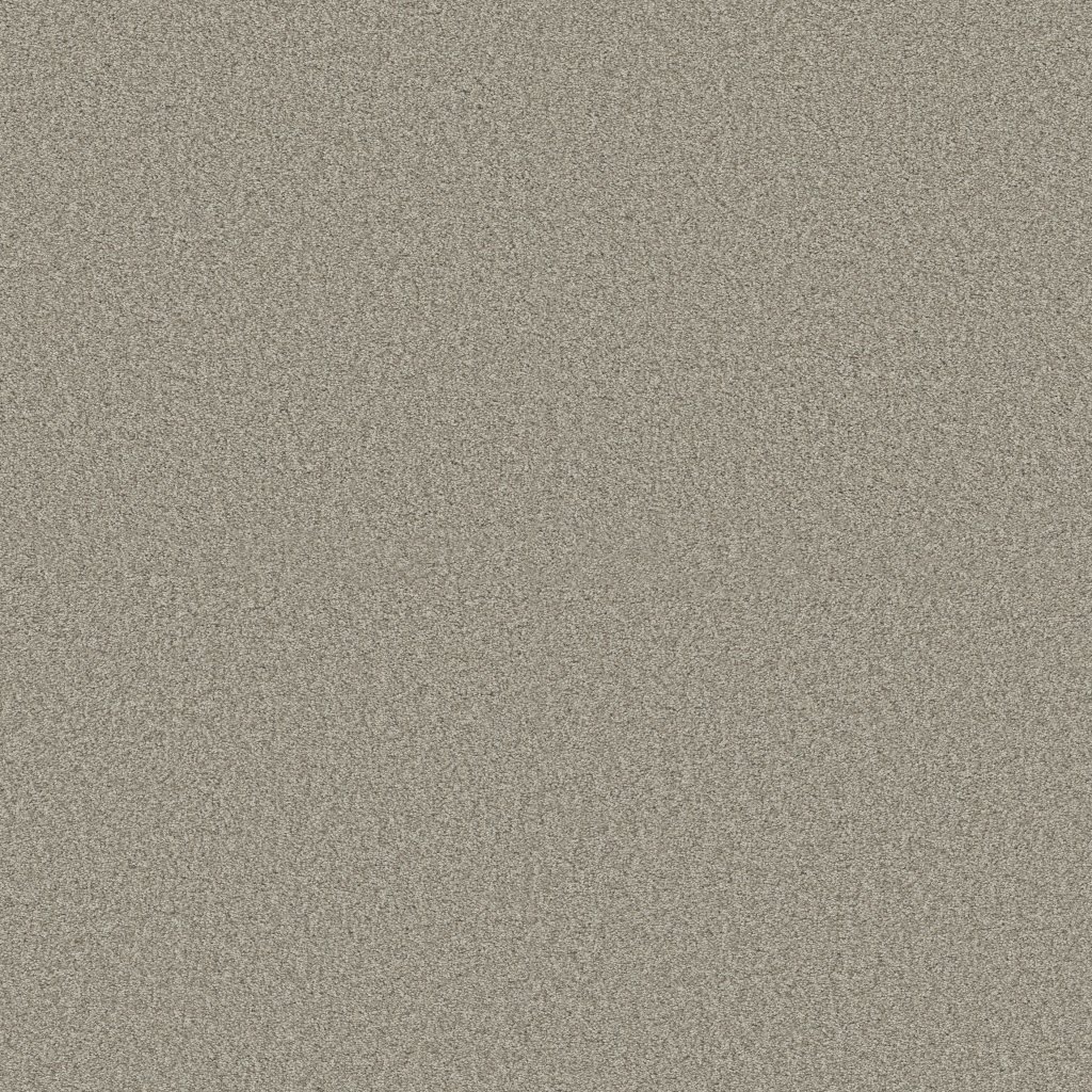 Shaw Floors Tonal Comfort I - Cliff Hiking