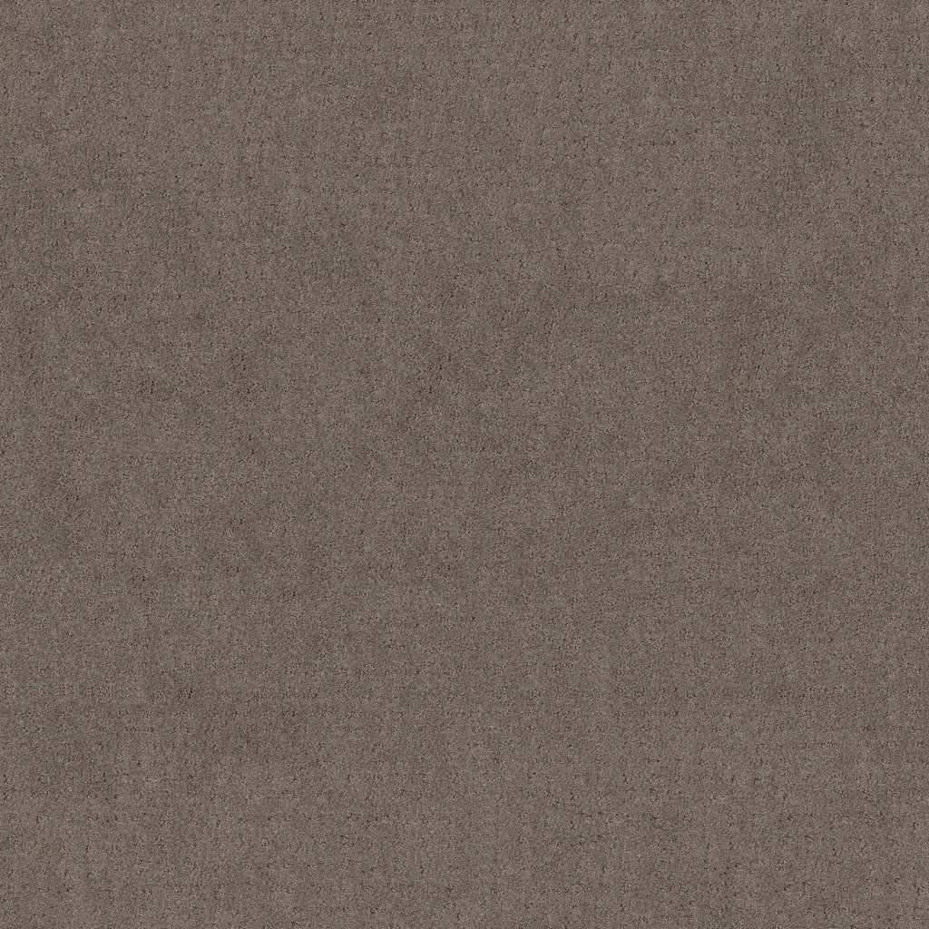 Shaw Floors Chic Nuance - Ridgeview