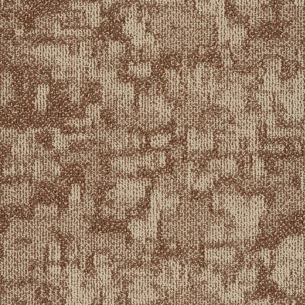 Philadelphia Commercial Arid - Mesa