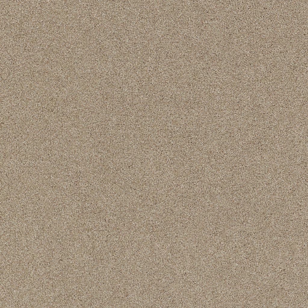 Shaw Floors Affirmation I - Loft Light