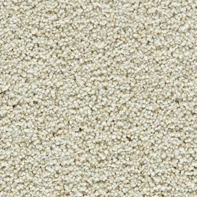 Mohawk Gentle Guardian III - Cozy Beige