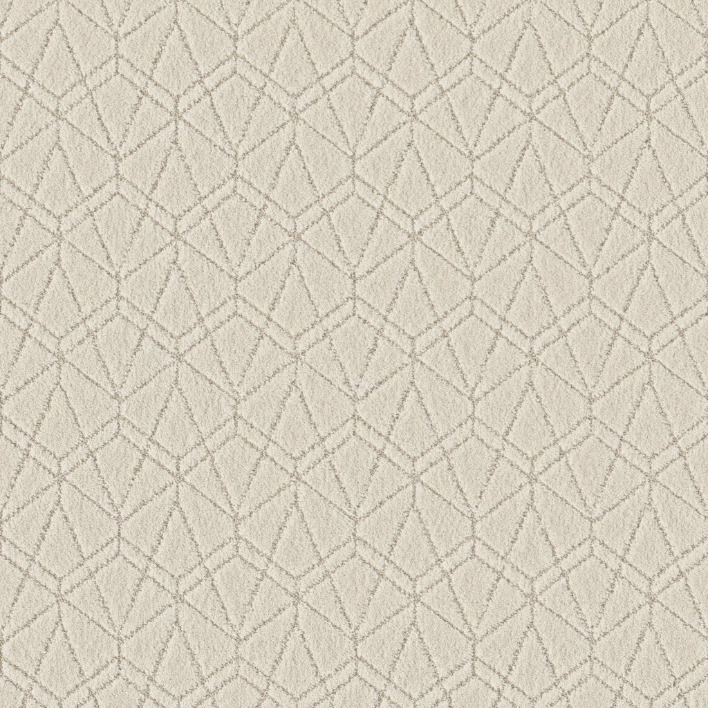 Shaw Floors Point Of View - Natural