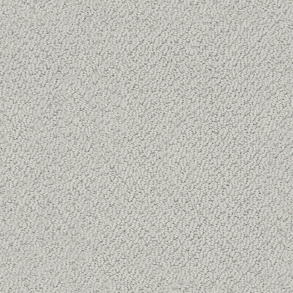 Shaw Floors Smart Thinking - Cloudy Day