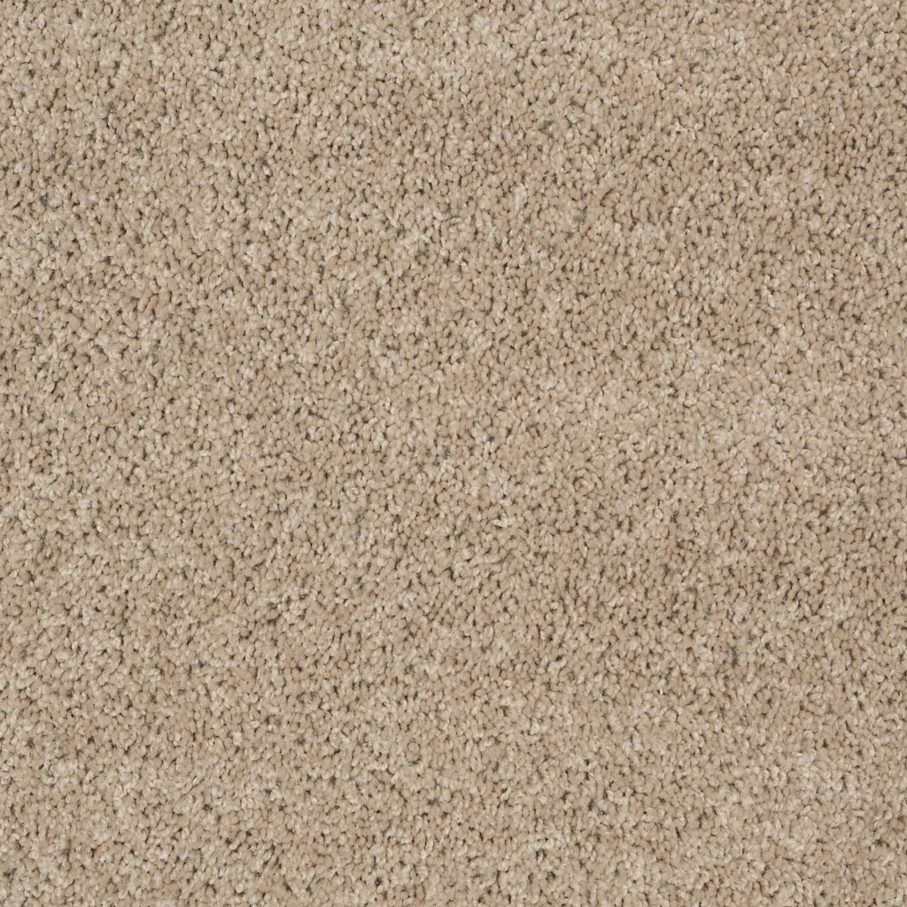Shaw Floors Wonderous Life (S) - Pebble