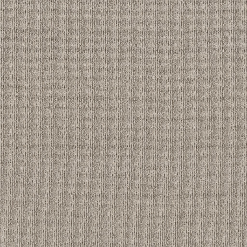 Shaw Floors Feisty - Birch