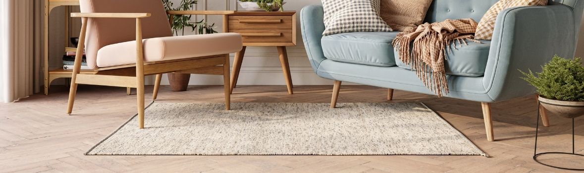 Seasonal area rug in modern living room