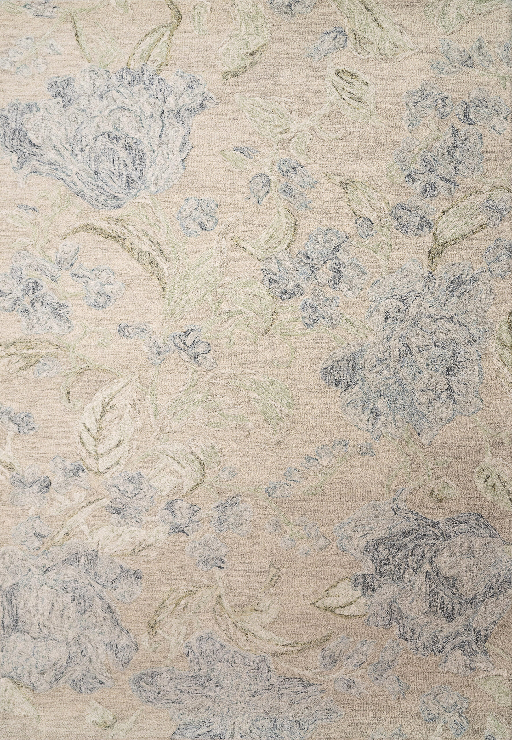 Dynamic Rugs Daisy 9096 - Beige/Sage/Blue
