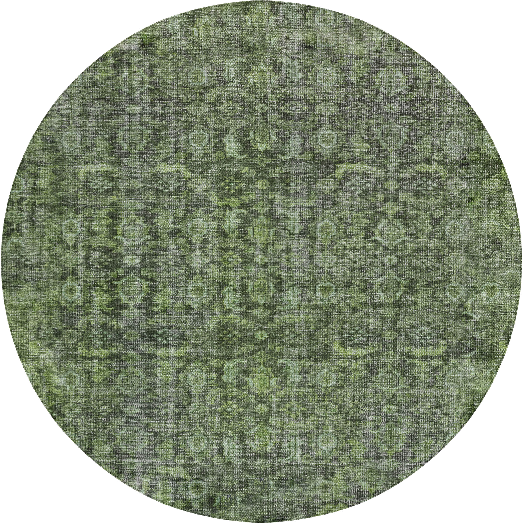 Dalyn Karaj KJ3 - Cactus