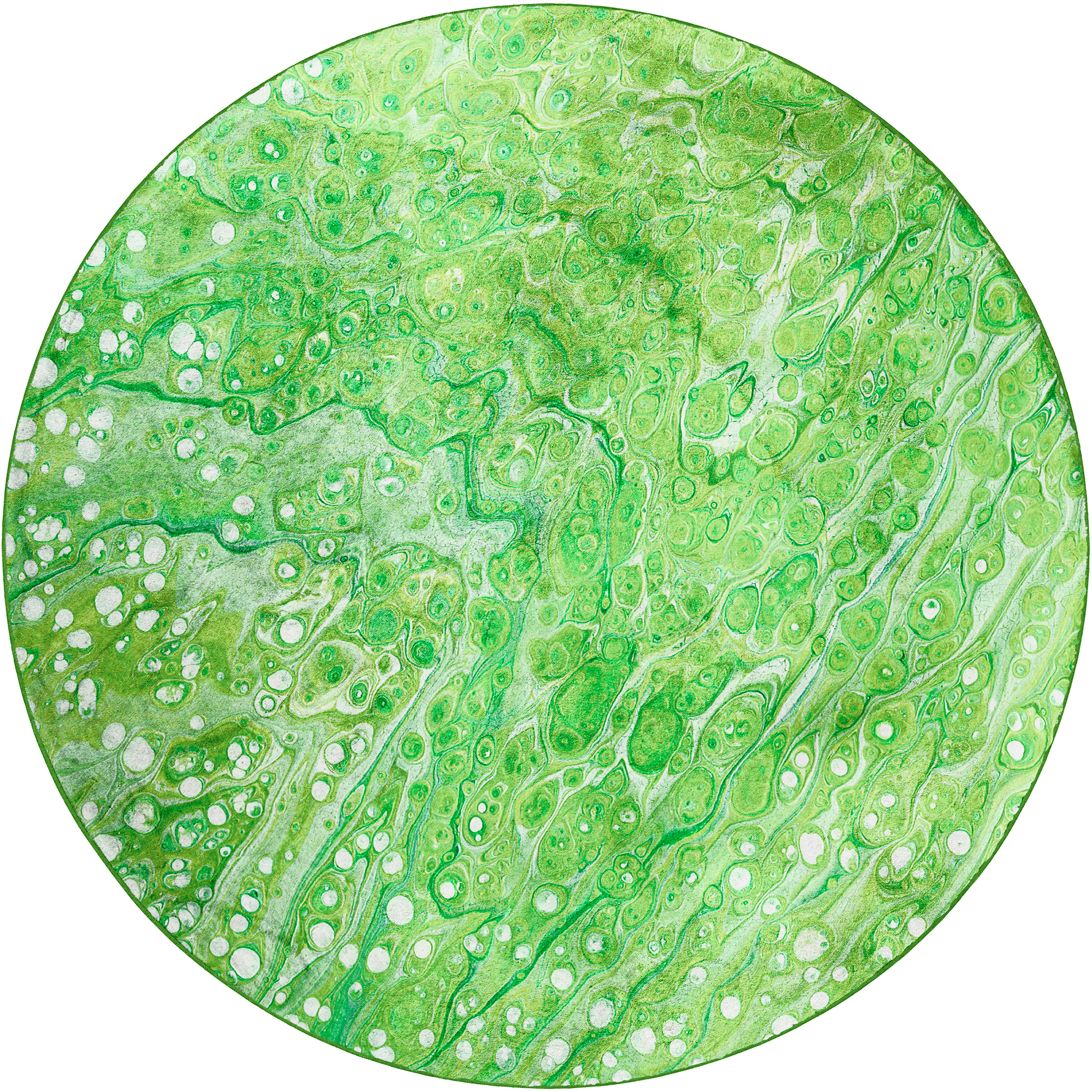 Dalyn Kikiamo KK5 - Lime-In