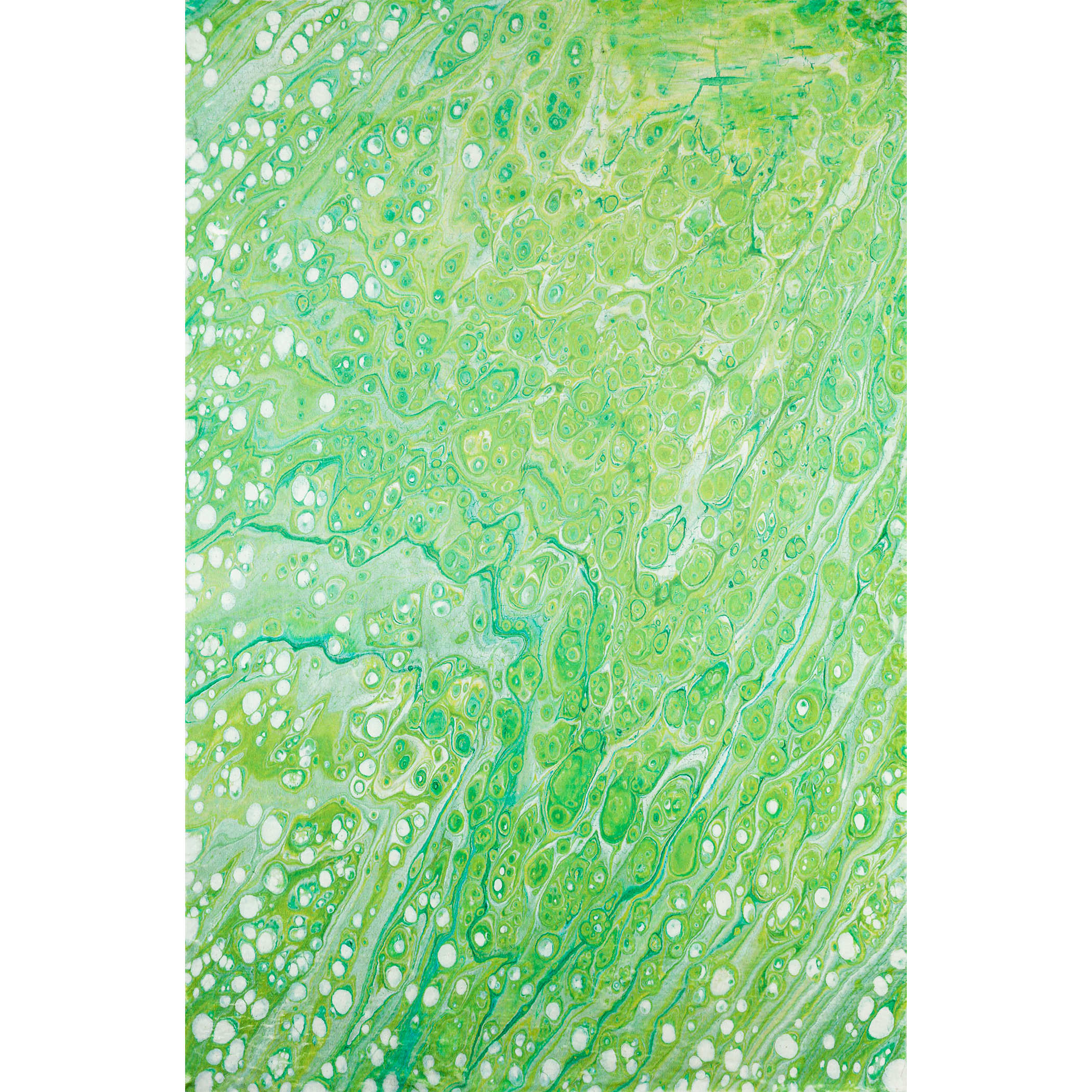 Dalyn Kikiamo KK5 - Lime-In