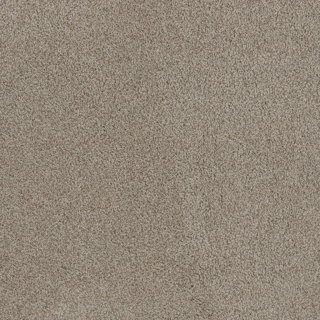 Dreamweaver STUNNING - Stucco 905