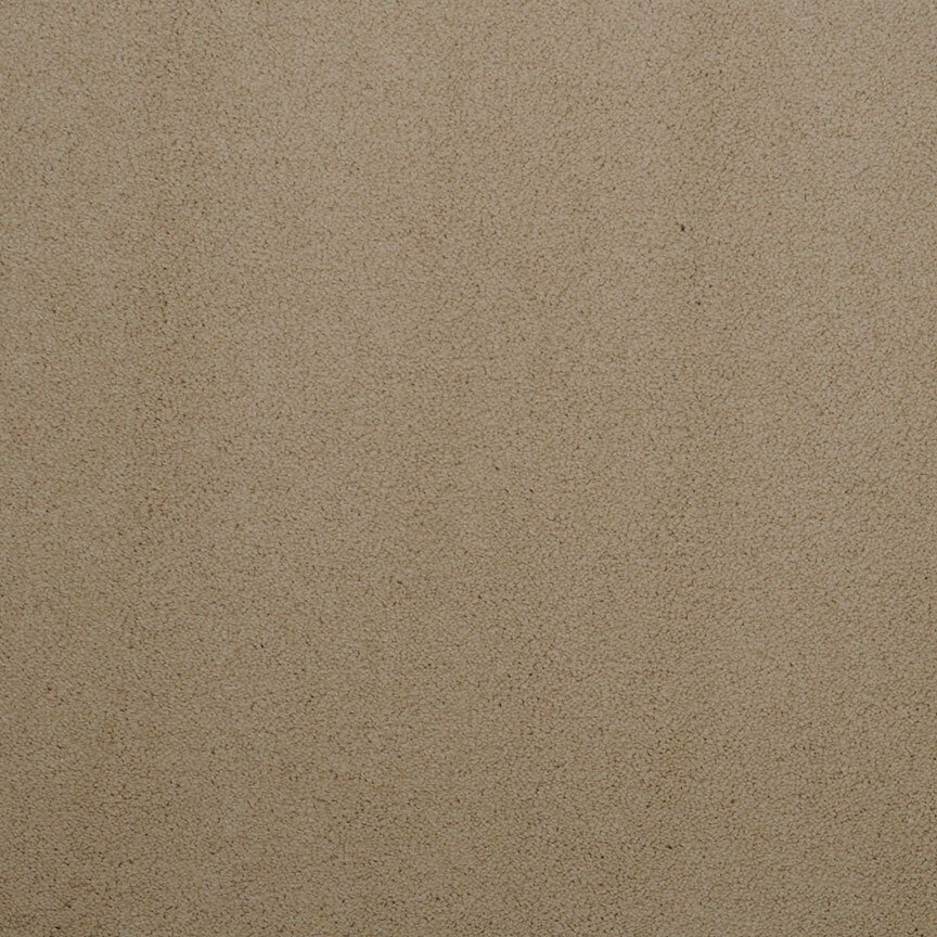 Masland Silk Touch - Bistro