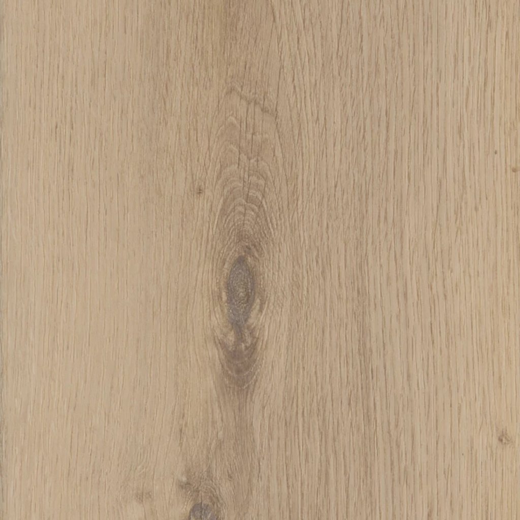 COREtec Pro Plus Enhanced HD 9" VV488 - Ravenswood Oak