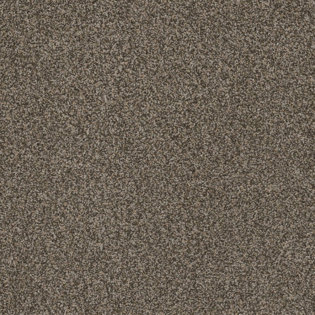 Dreamweaver HOT PURSUIT - Yorkstone 303