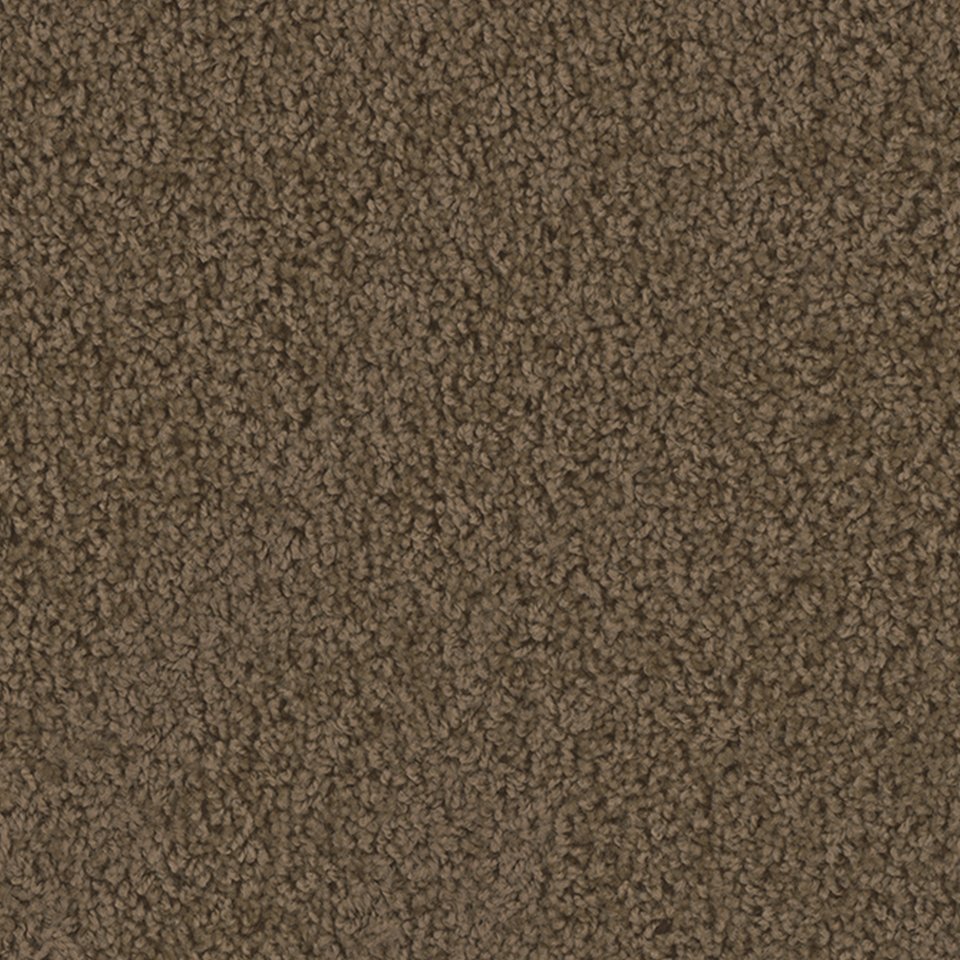 Dreamweaver TRACKER - Taupe 565