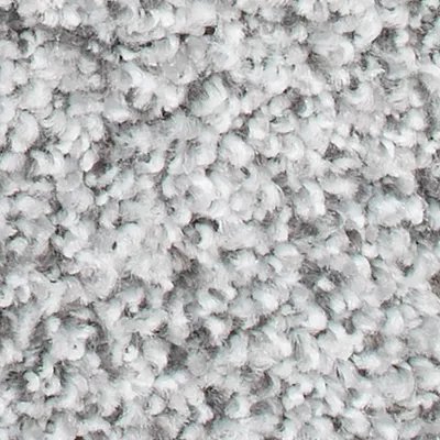 Karastan Magnetic Allure - January Frost