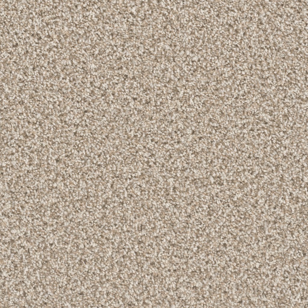 Dreamweaver CAN'T MISS - Seashells 758