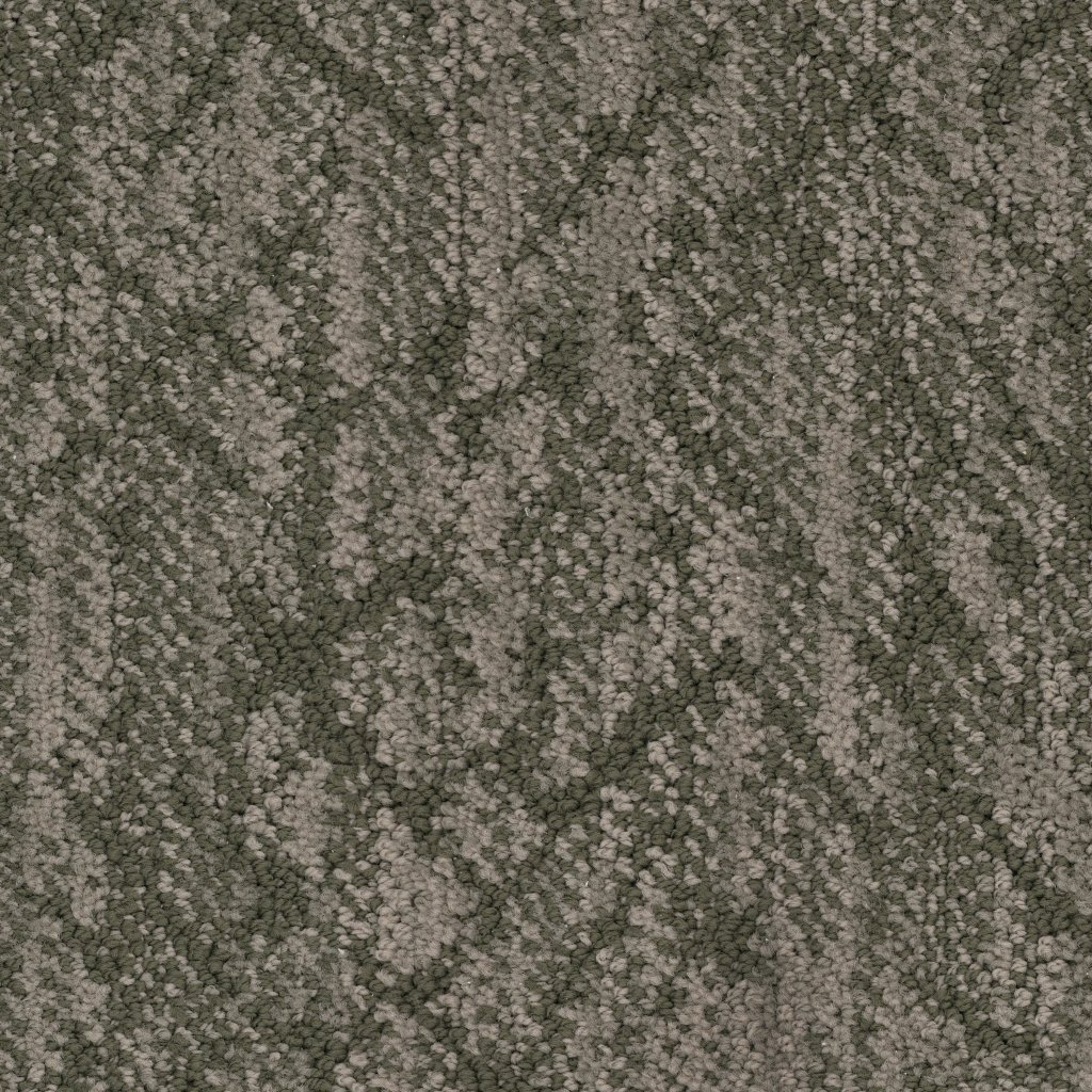 Masland Circuitry - Foliage