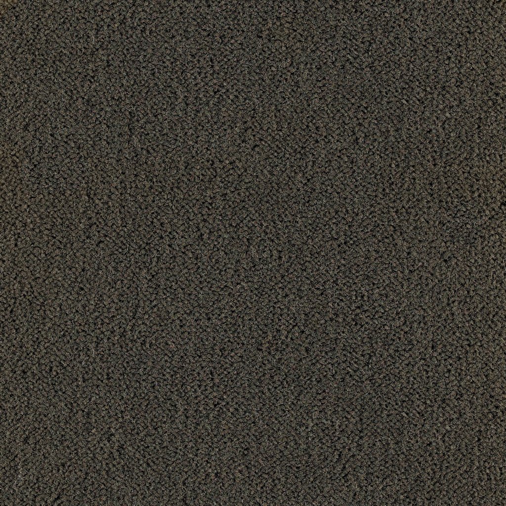 Masland Panache - Prairie