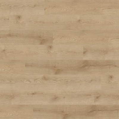 Provenza Floors Concorde Oak - Loyal Friend
