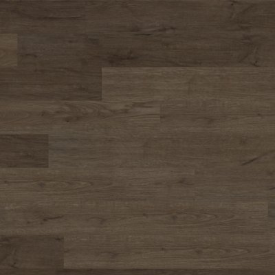 Canopy Moonlight Oak - 7" x 5ft