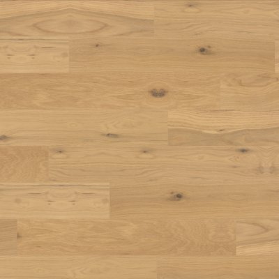 Robbins Spring Shade 7 1/2 in - 7.5"