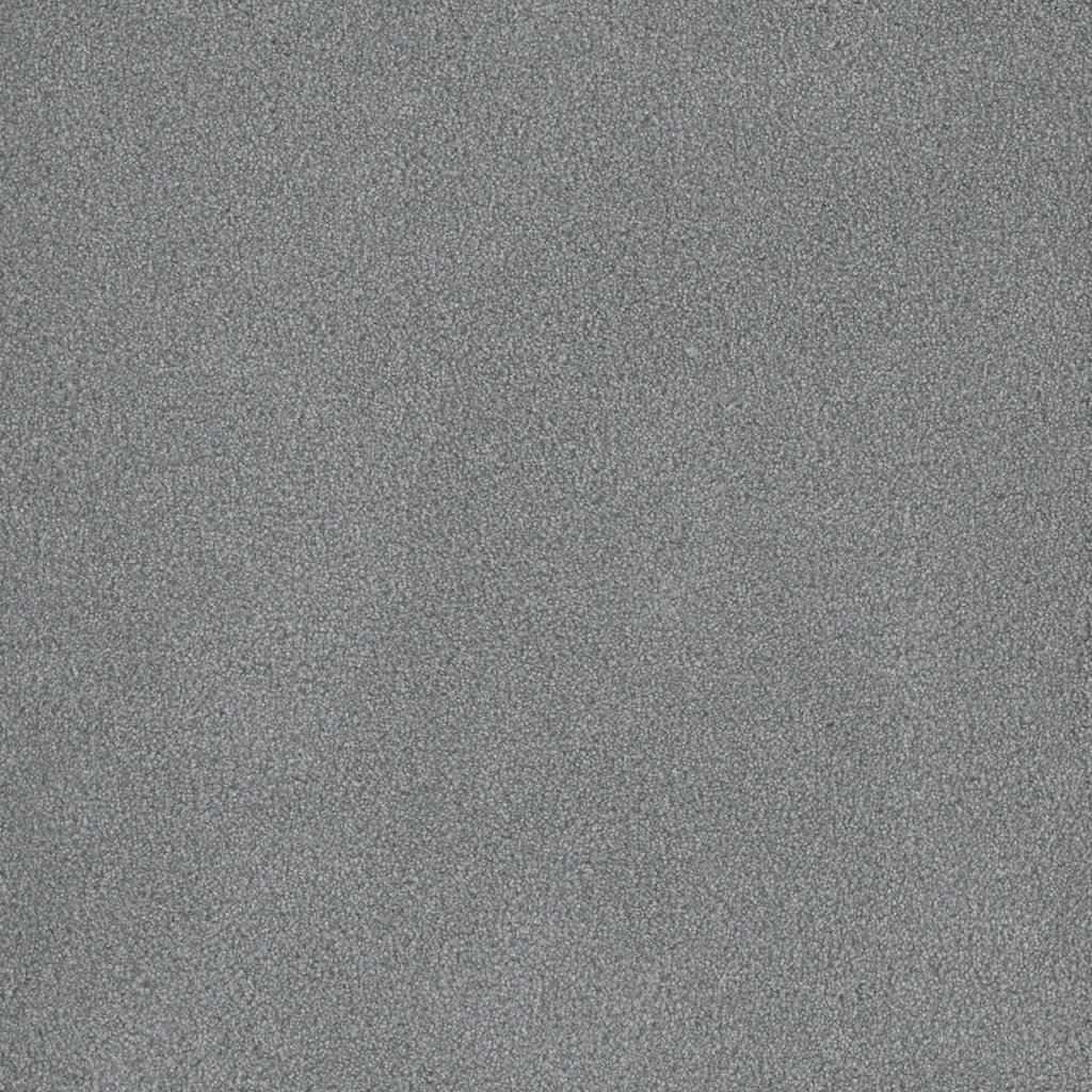 Dreamweaver PALMETTO II - Skylight 2281