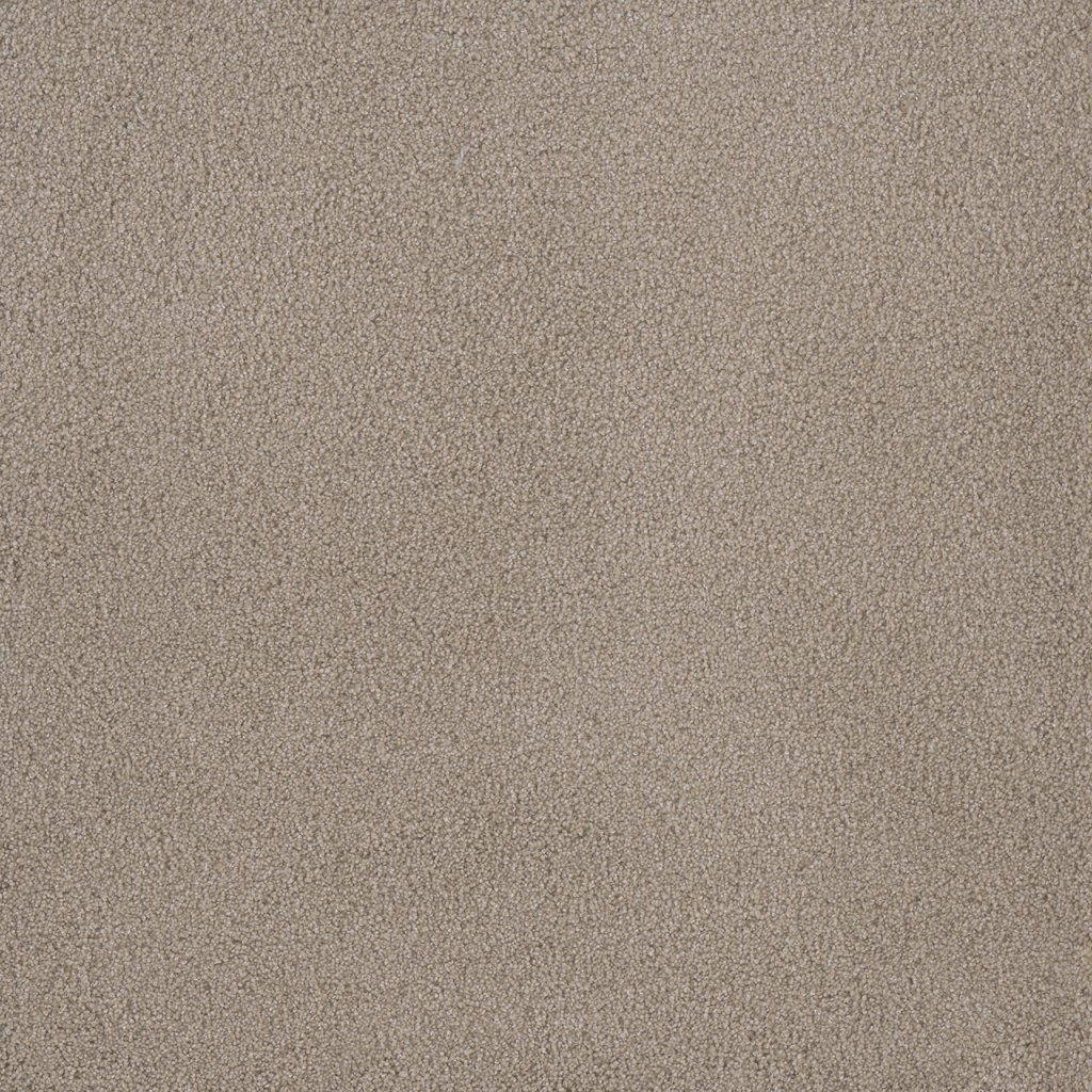 Dreamweaver PALMETTO II - Sun Washed 2235