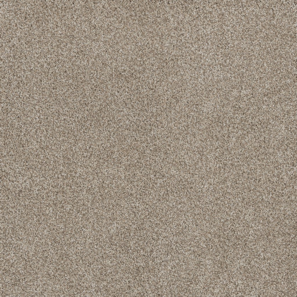 Dreamweaver STUNNING - Seashells 758