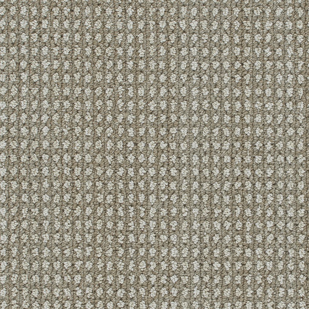 Dreamweaver BRUNSWICK - Shetland 8081