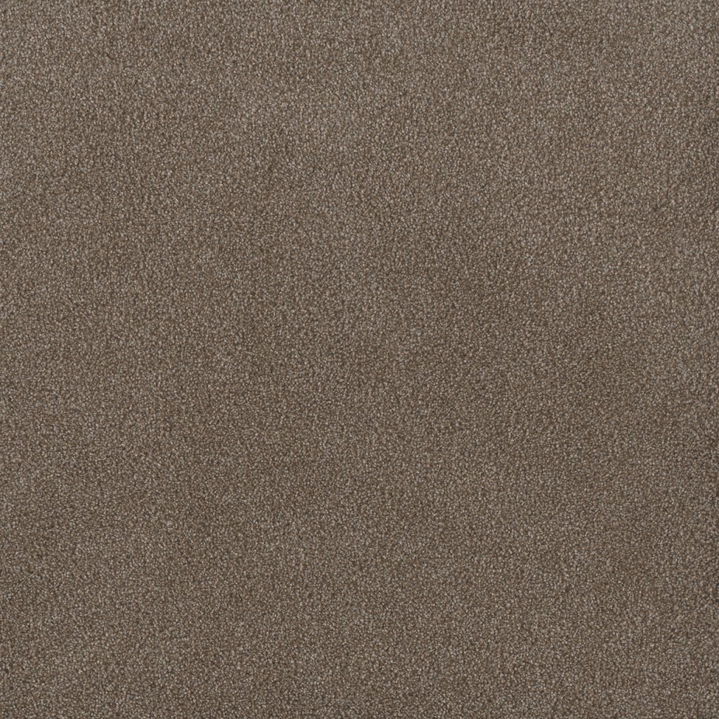Dreamweaver PALMETTO II - Eagle Crest 2114
