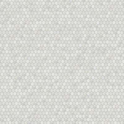 Marble Systems Carrara Blend Honed Hexagon 2 Marble Mosaic 10 3/8x12 - Carrara Blend - 10 3/8" x 12" x 3/8"