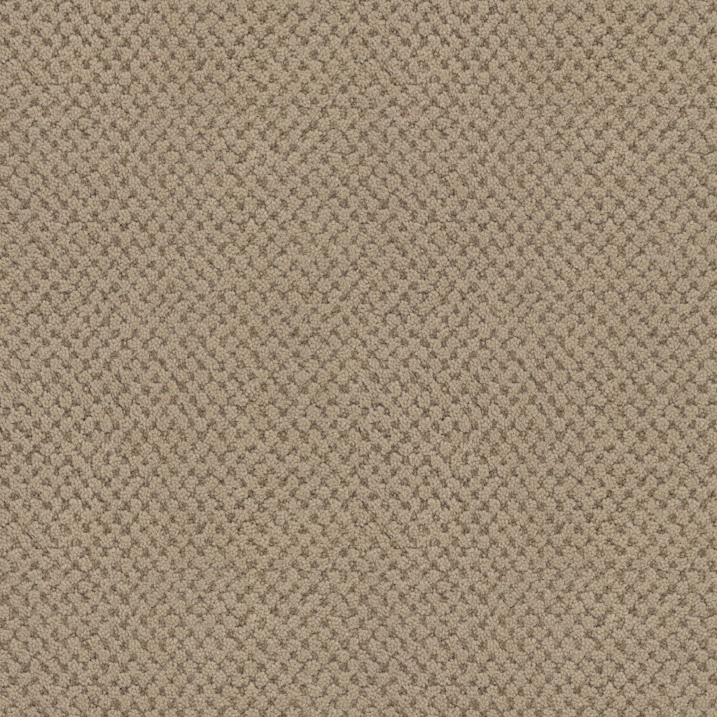 Masland La Parade - Bistre