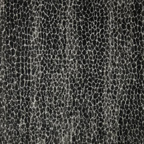 Stanton RACONTARS - GRAPHITE