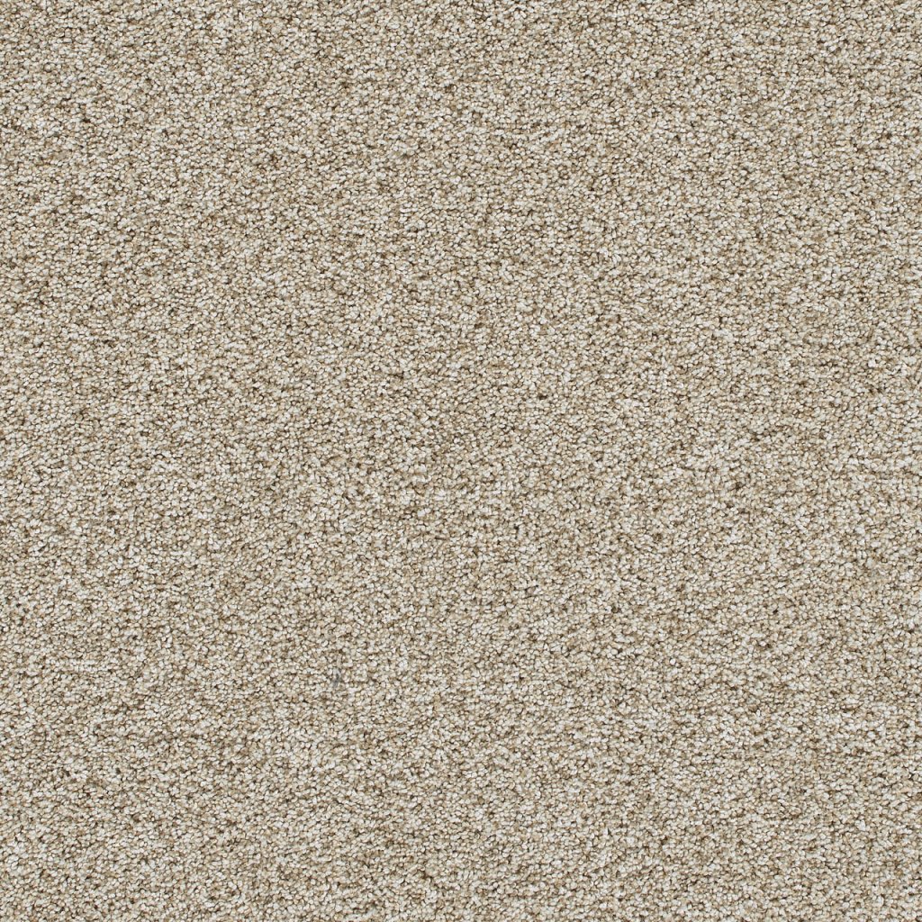 Dreamweaver TRENDSETTER I - Seashells 758